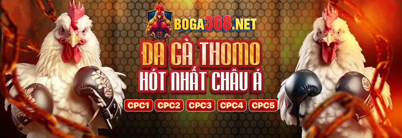 Hình ảnh đa dạng các trò chơi casino, thể thao và slot game tại zbet win